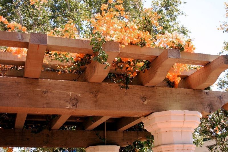 wood roof for pergola